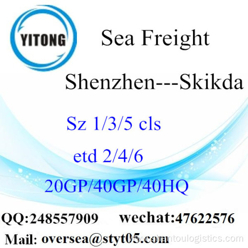 Shenzhen Port Sea Freight Shipping To Skikda